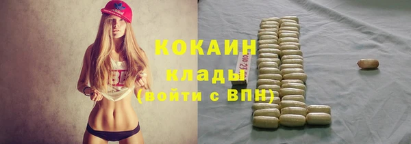 твердый Коряжма