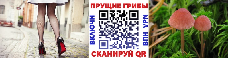 Галлюциногенные грибы мухоморы  Купить  Черкесск 