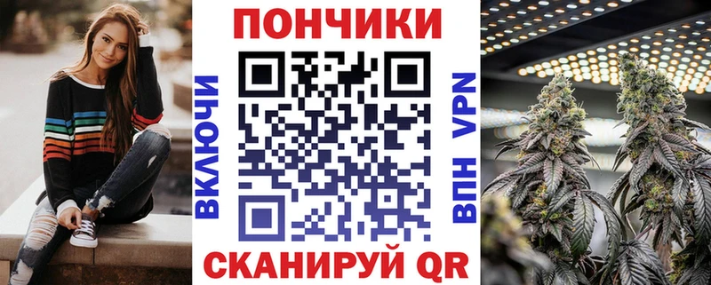 Бошки марихуана OG Kush  Купить закладки  Черкесск 